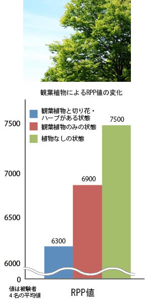 緑の景観
